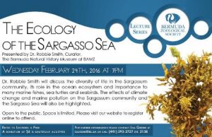 0224 Ecology of the Sargasso Sea